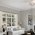 - Repose Gray by Sherwin Williams
