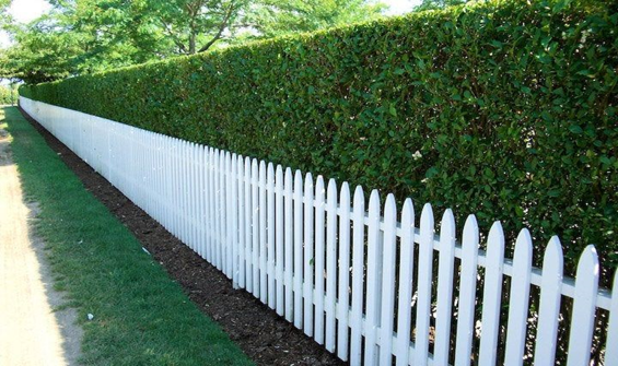 Add Horizontal Fencing with Hedges
