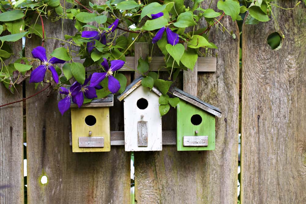 Beautiful Birdhouse