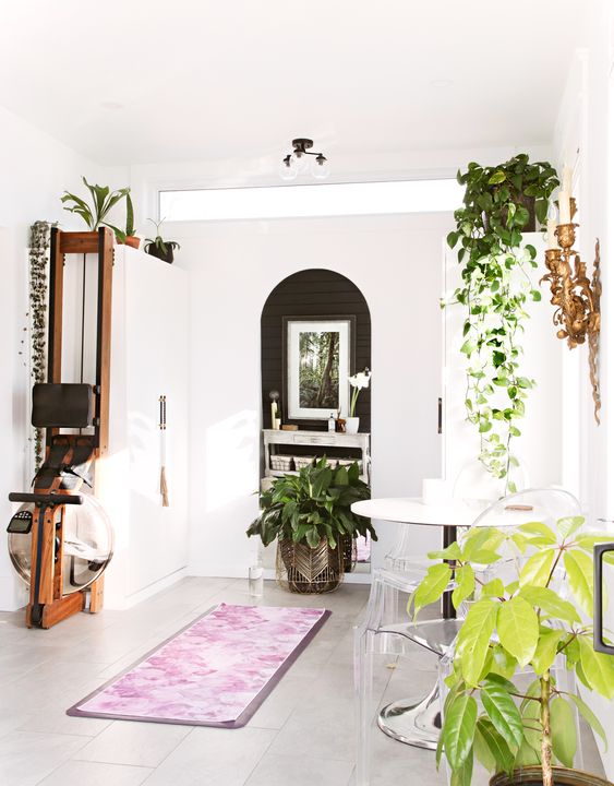 Bring Nature's Essence Indoor: Organic Atmosphere