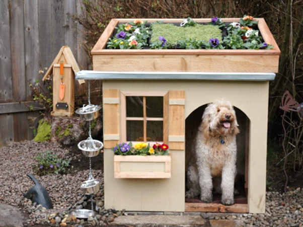 Build a Raised Bed Above the Dog House