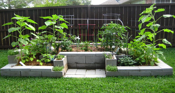 Cinder Block Garden