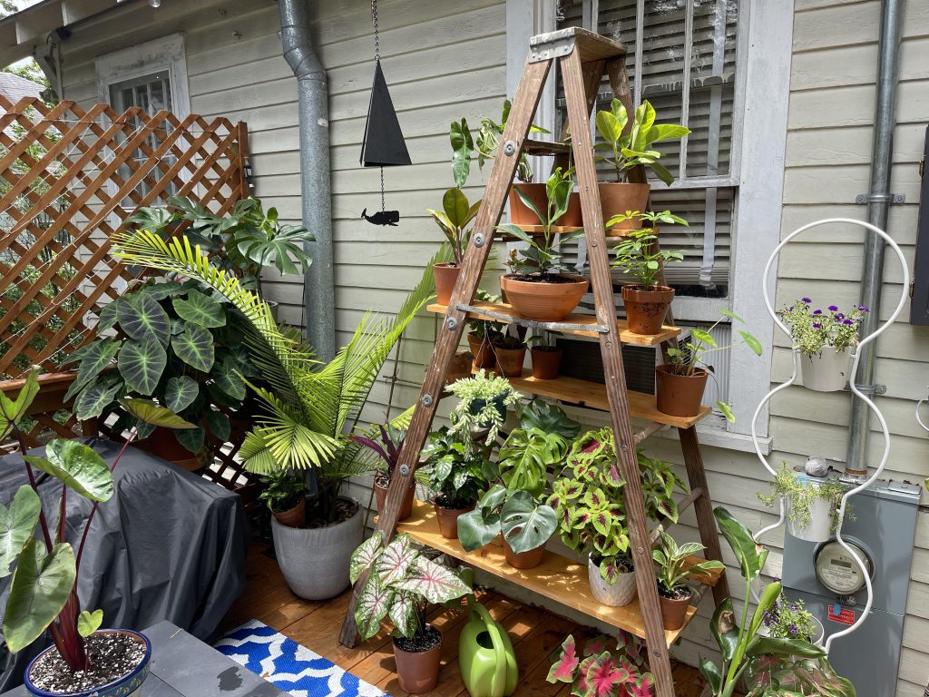Converting a Ladder Into a Plant Stand