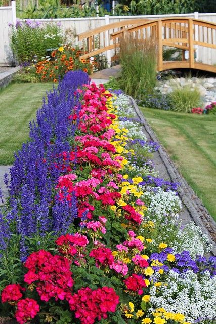 Create a Bed of Colorful Flowers