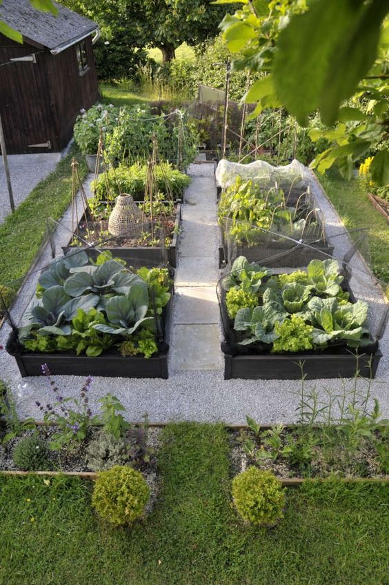 Curate an Edible Garden