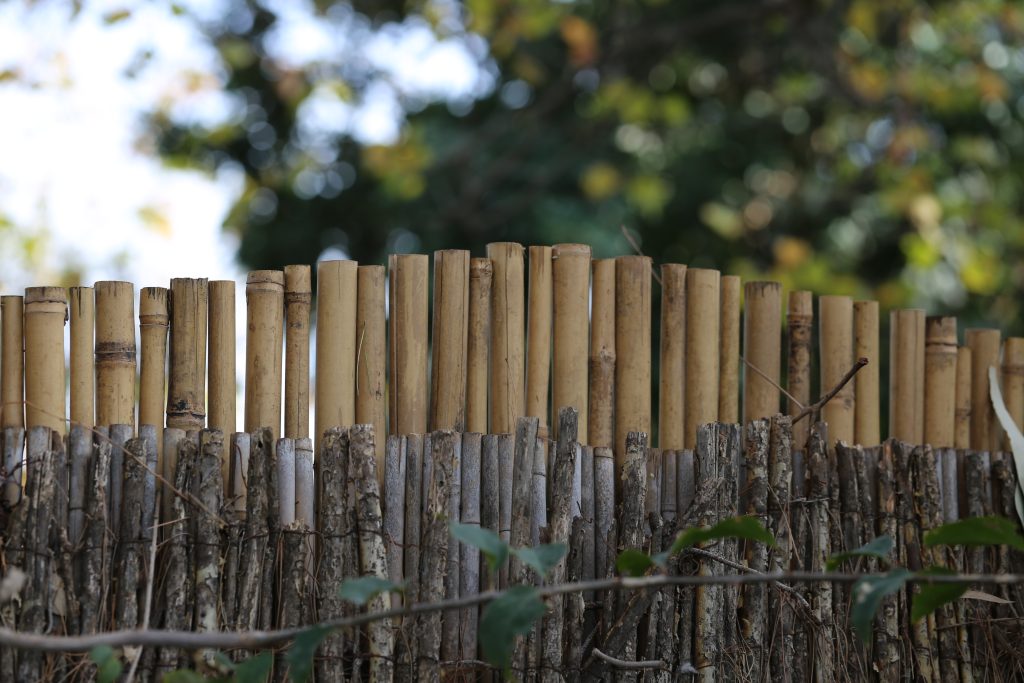 DIY Bamboo Fence