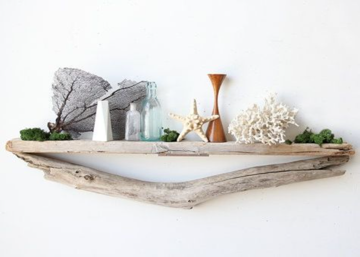 Driftwood Shelves