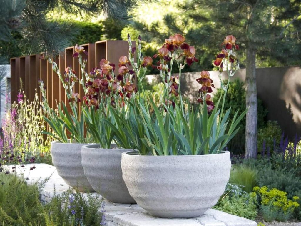 Get Statement Planters