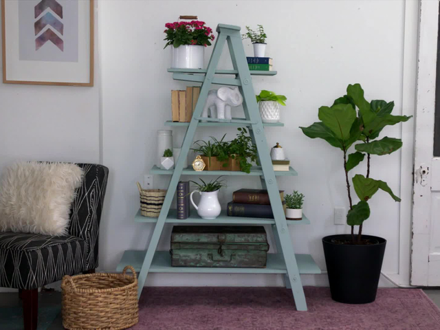 Ladder Shelves