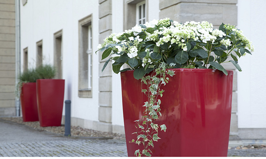 Large Planters