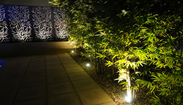 Lighted Plants