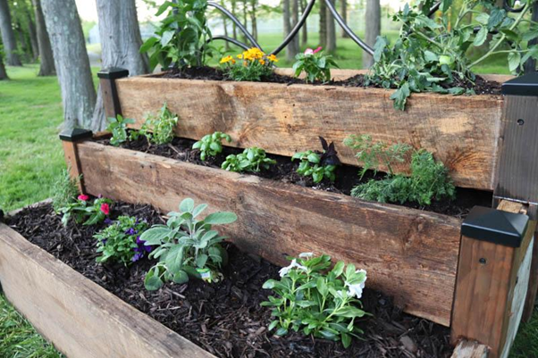 Opt for Tiered Raised Beds