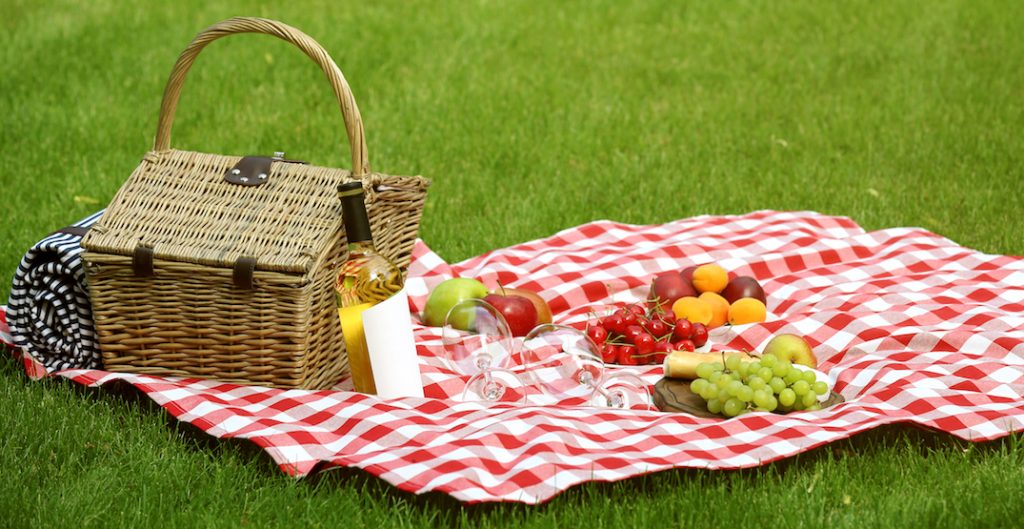 Picnic in The Outdoors