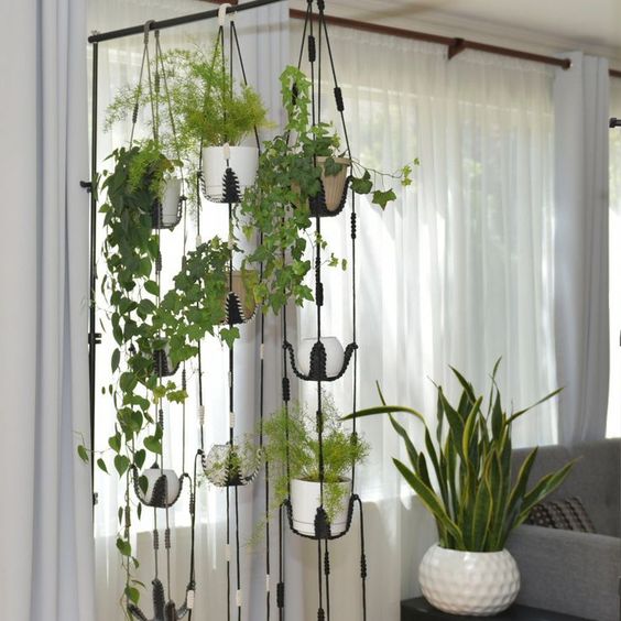 Potted Plant Divider