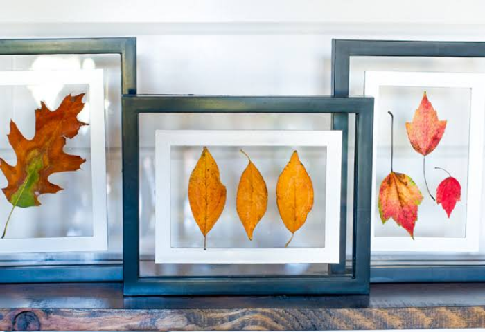Pressed Autumn Leaves Frame