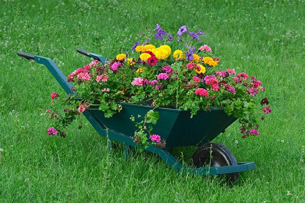 Repurpose Garden Wheelbarrow