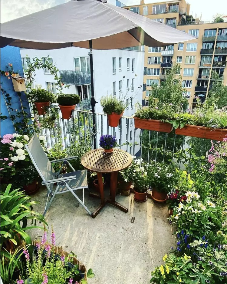 Transform Your Balcony Into an Urban Garden