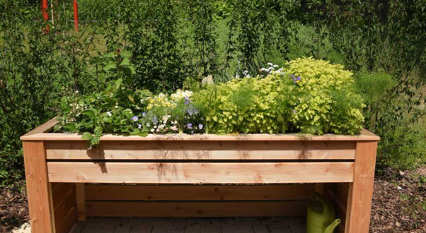 Try a Table-Raised Garden Bed