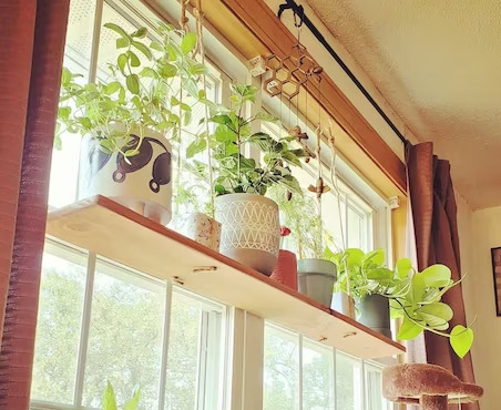 Window Shelves for Plants